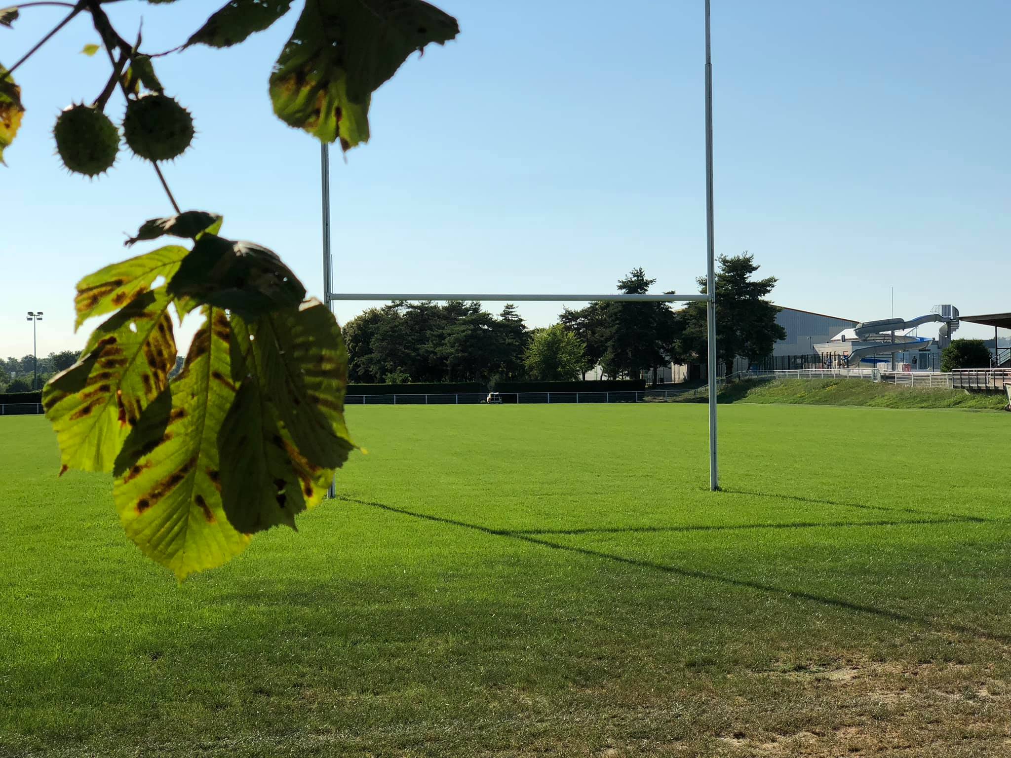 COC Rugby - Forum Sport Santé Environnement